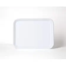 BANDEJA EXPOSITORA